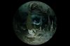cave diving photo by Hennin Andree