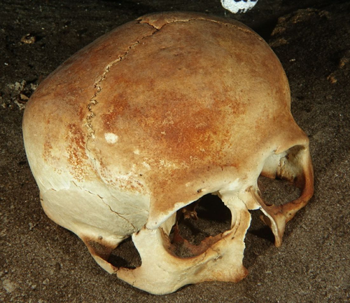 The perfectly conserved skull in the second chamber